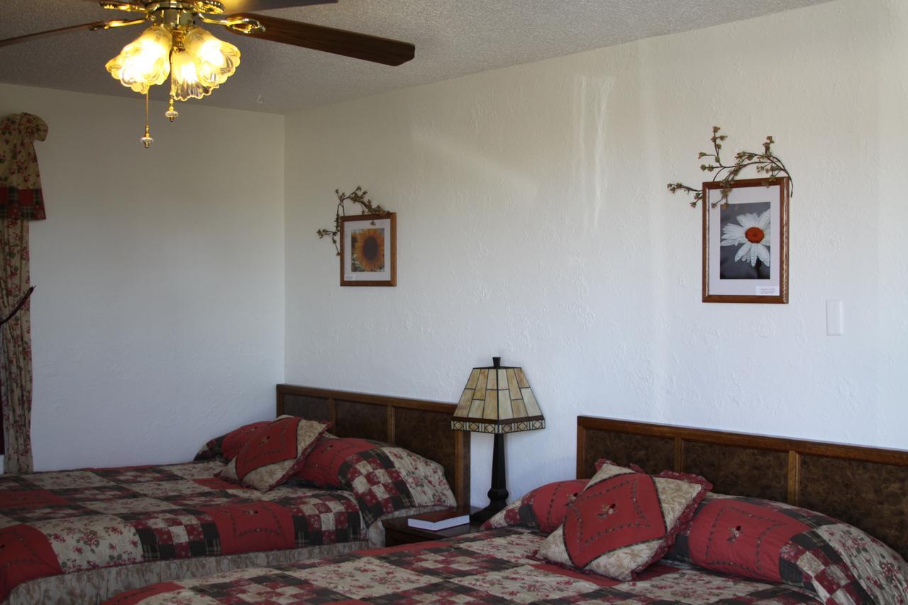 Sleep For Less Motel 悉尼 外观 照片